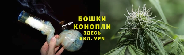 PSILOCYBIN Заводоуковск